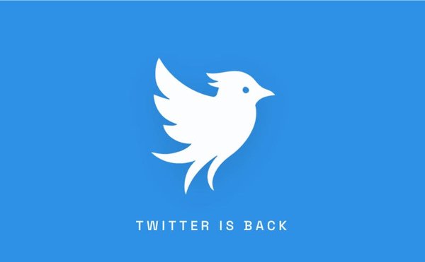 Заработал новый Twitter — вопреки воле Илона Маска