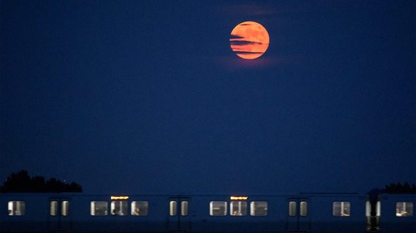 Июньская клубничная луна — последняя микролуна 2026 года: как ее увидеть