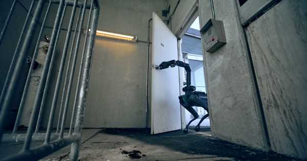 ICE планирует потратить миллионы на роботов-собак Boston Dynamics