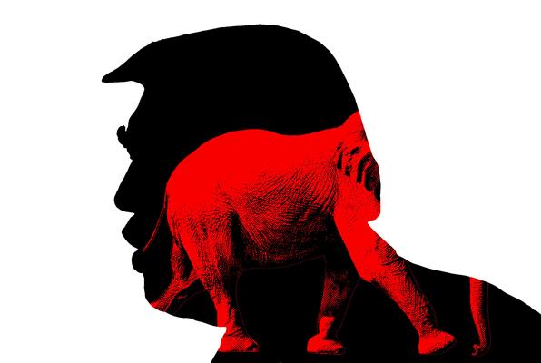 MAGA начинает смотреть за рамки Трампа