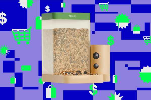 Умная кормушка для птиц Birdfy продается всего за 60 долларов